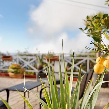 Casa Andrea Villa Tacoronte Eksteriør bilde