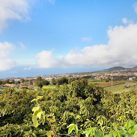 Casa Andrea Villa Tacoronte Eksteriør bilde