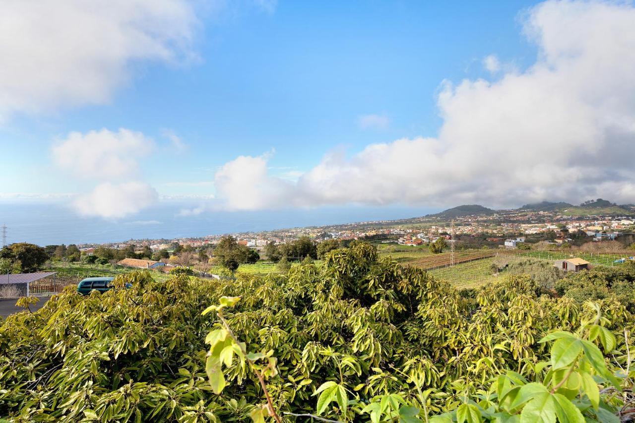 Casa Andrea Villa Tacoronte Eksteriør bilde